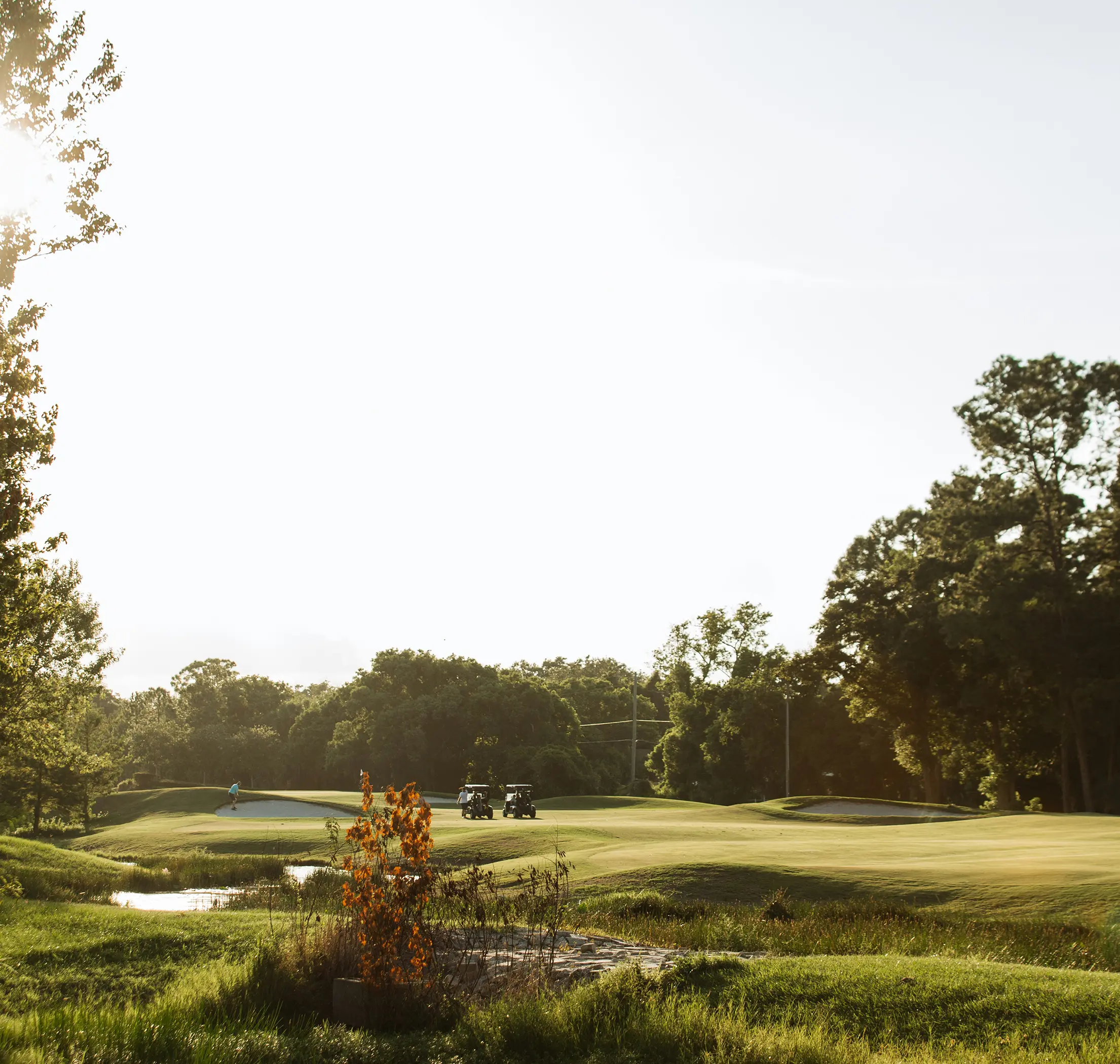 Location is paramount